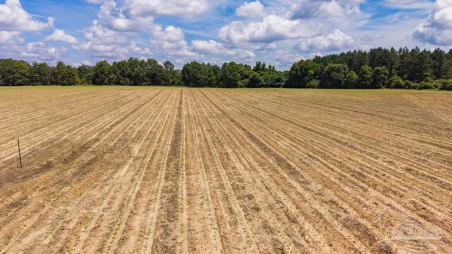 2732 Hwy 4, Jay, FL 32565 - #3