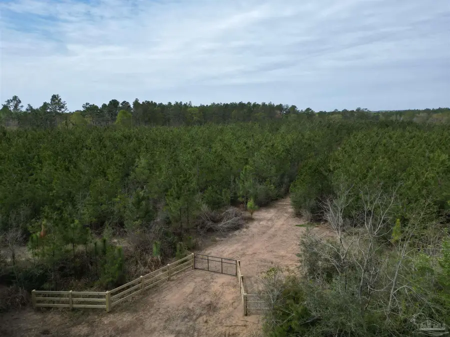 1000 BLK Hwy 97, Molino, FL 32577 - #2