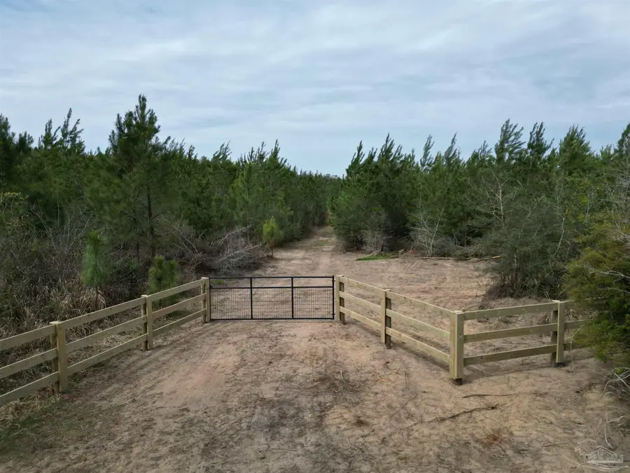 1000 BLK Hwy 97, Molino, FL 32577 - #3