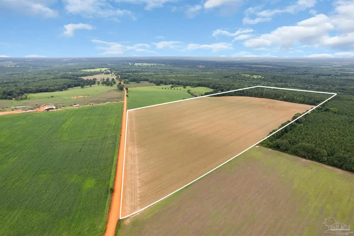 0 Old Stage Rd, Repton, AL 36475 - #1