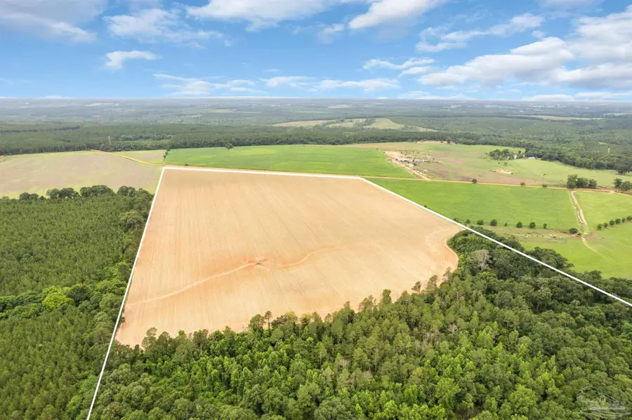 0 Old Stage Rd, Repton, AL 36475 - #2