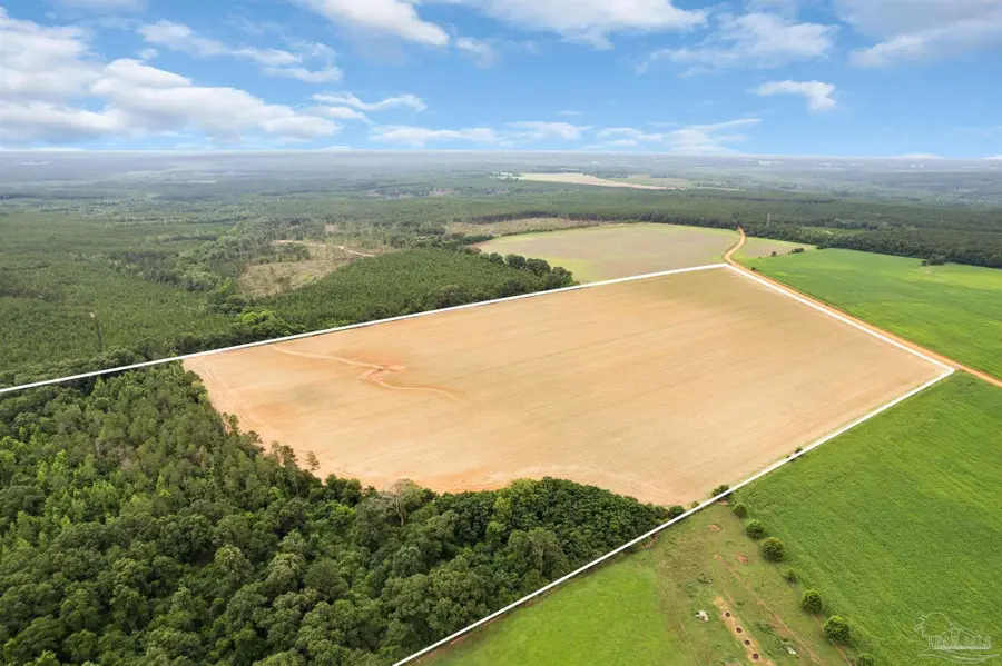 0 Old Stage Rd, Repton, AL 36475 - #3