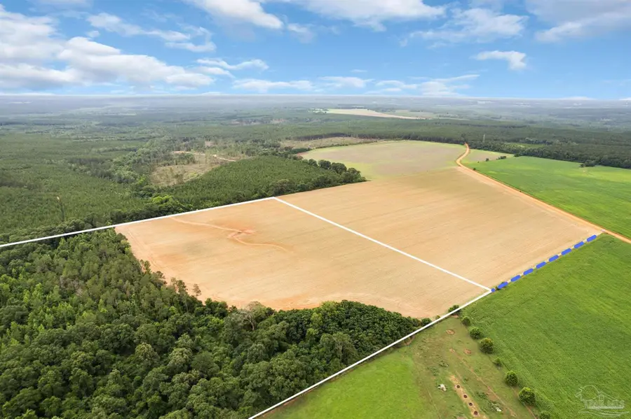 1 Old Stage Rd, Repton, AL 36475 - #2