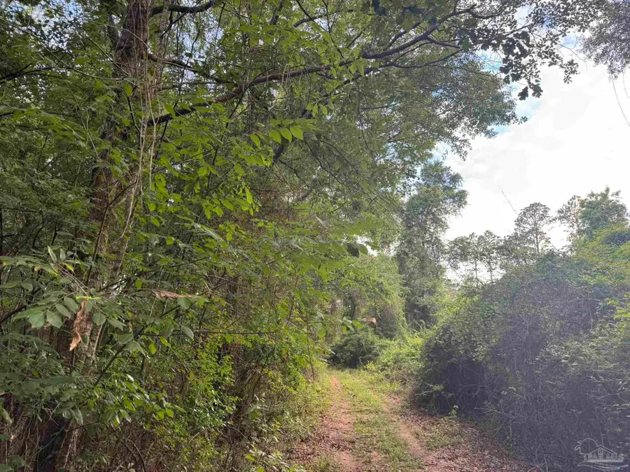 1 Old Stage Rd, Repton, AL 36475 - #3