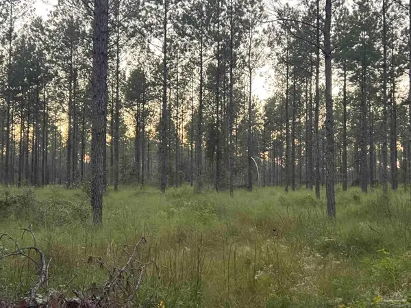 Lot 6 Wallace Lake Rd, Pace, FL 32571