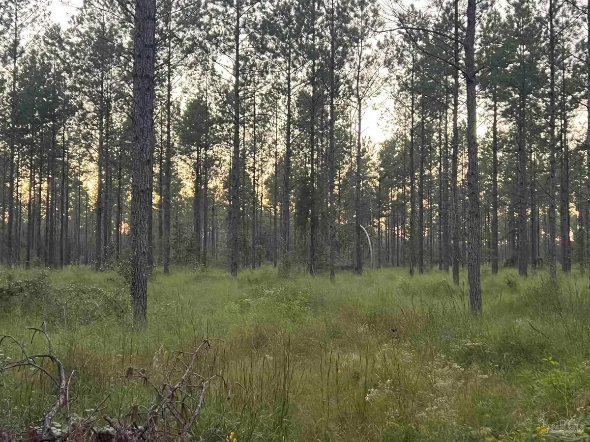 Lot 7 Wallace Lake Rd, Pace, FL 32571 - #1