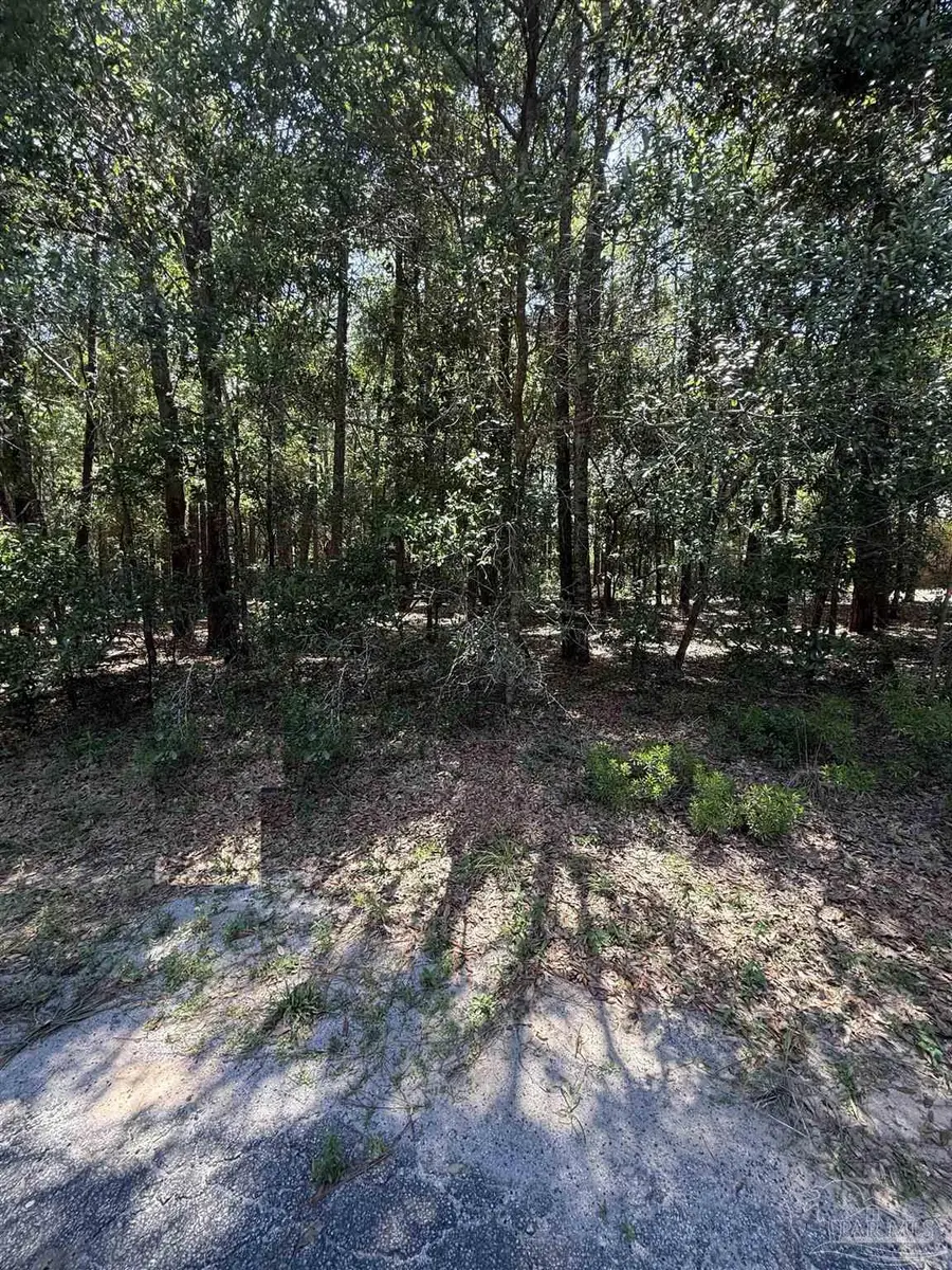 6315 Pheasant Ln, Milton, FL 32570 - #2