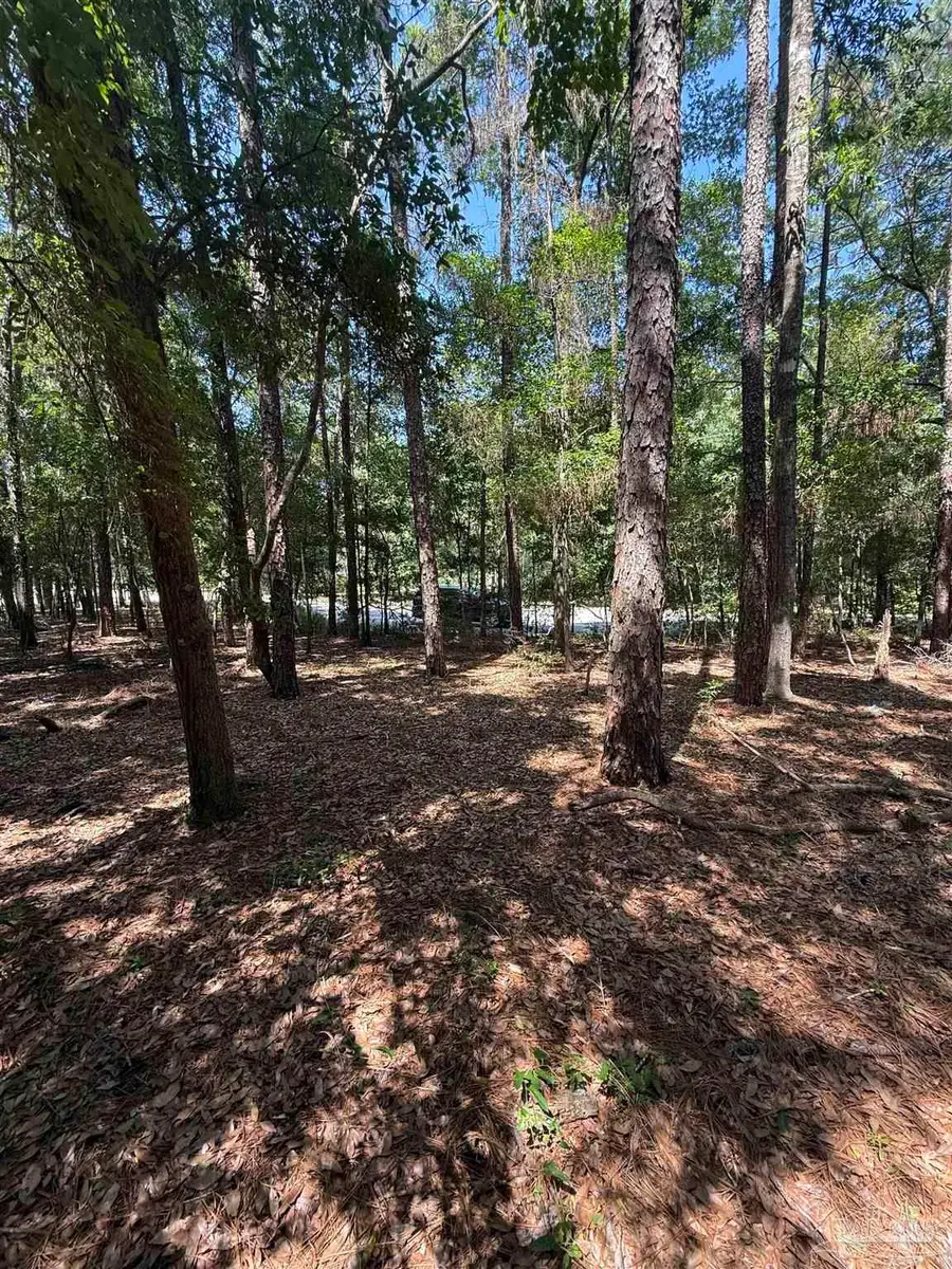 6315 Pheasant Ln, Milton, FL 32570 - #3