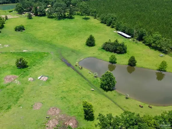 3010 N Hwy 97, Molino, FL 32577