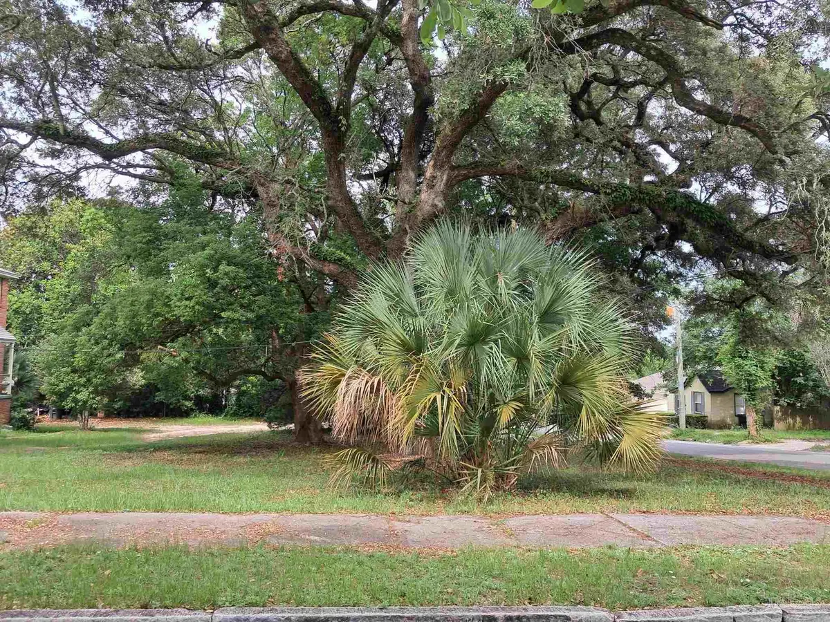 1000 BLK N Palafox, Pensacola, FL 32501 - #1