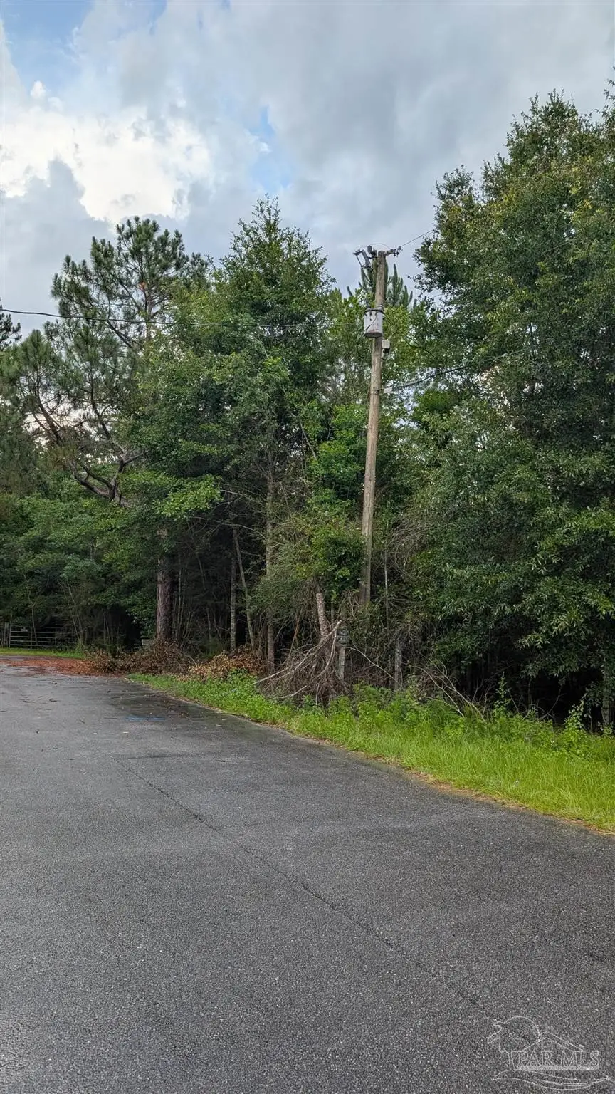 9791 Domino Rd, Milton, FL 32583 - #3
