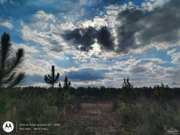 4320 Hwy 182, Jay, FL 32565