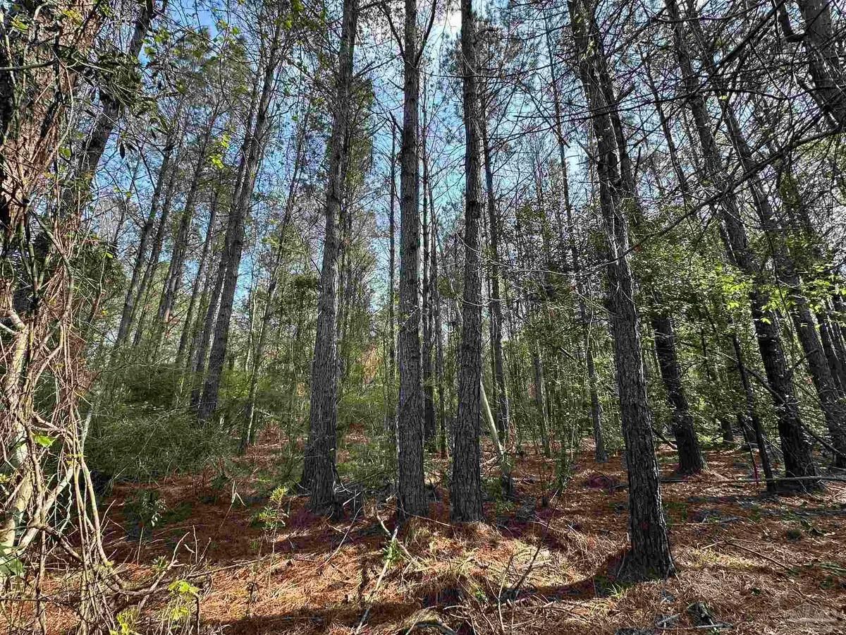 1.1 ac Snider Rd, Frisco City, AL 36445 - #1