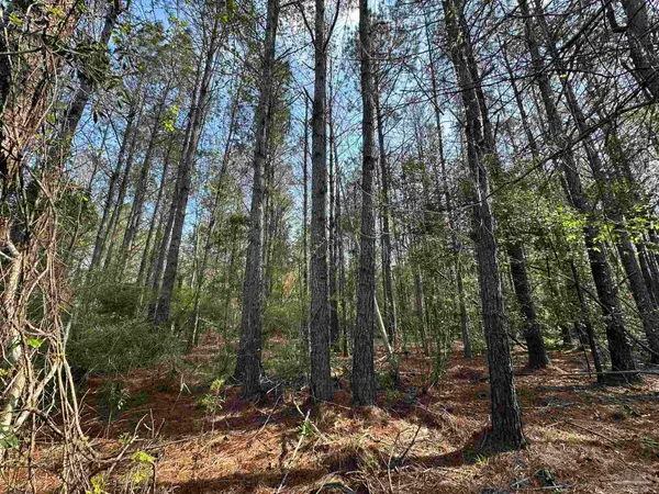1.1 ac Snider Rd, Frisco City, AL 36445