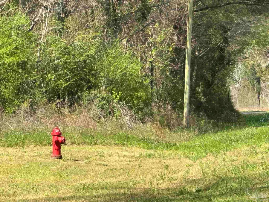 1.1 ac Snider Rd, Frisco City, AL 36445 - #3
