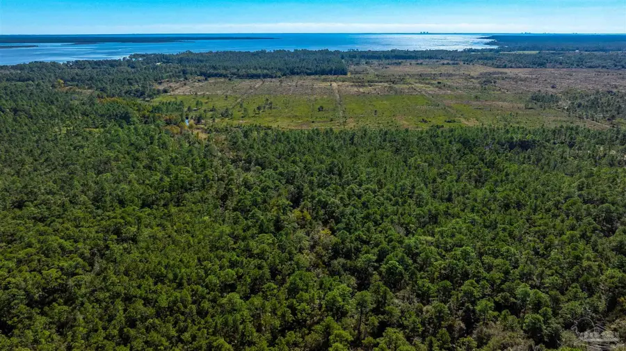 0000 Sandy Pt St, Milton, FL 32583 - #3