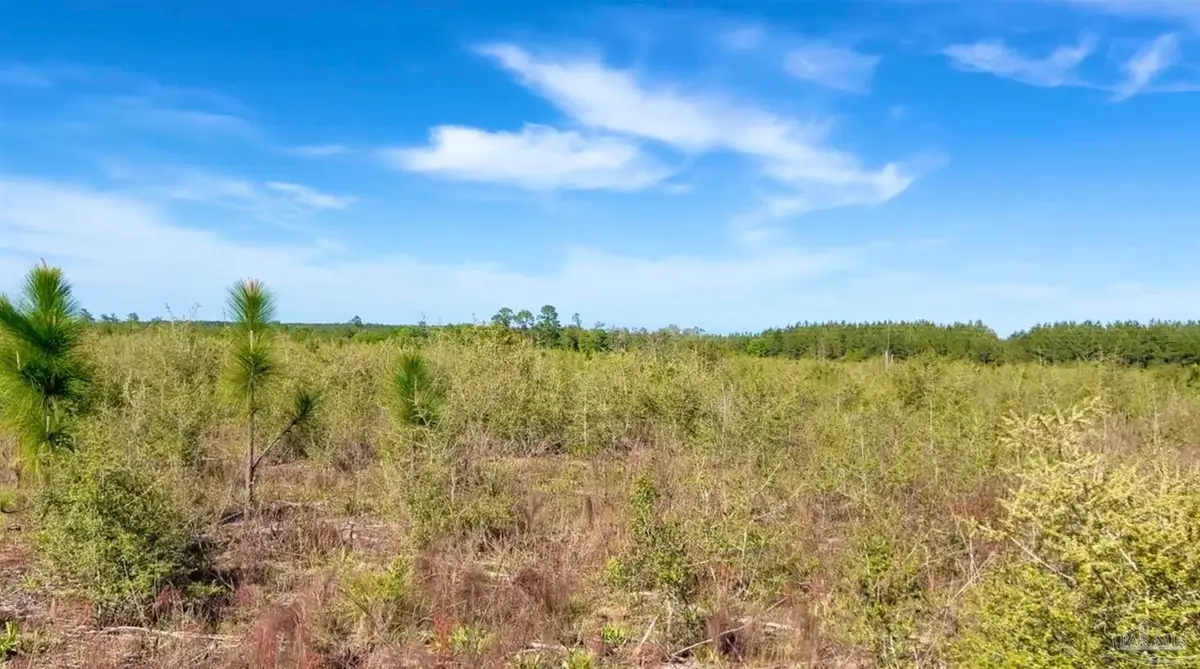 Lot 58 South Timber Ln, Jay, FL 32565 - #1
