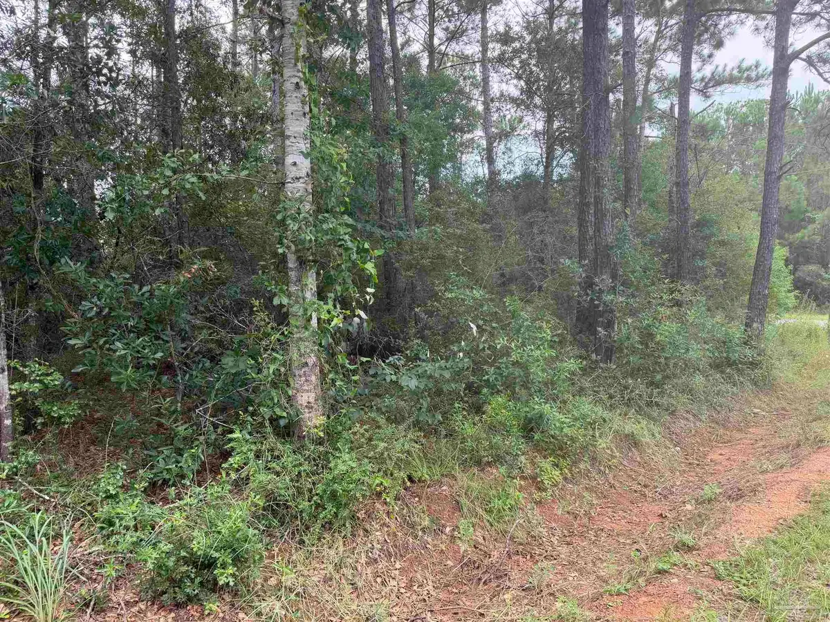 0 N 19th Ave, Milton, FL 32583 - #1