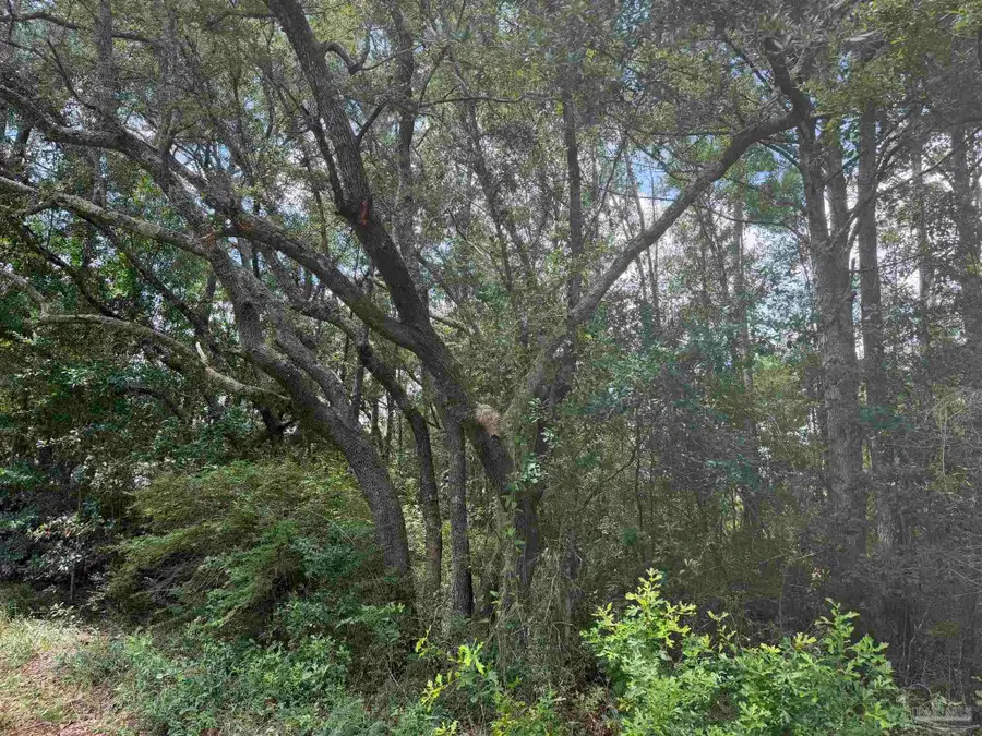 0 N 19th Ave, Milton, FL 32583 - #2