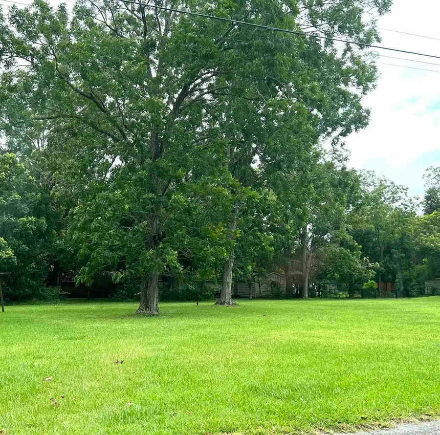 401 W 4th Ave, Foley, AL 36535 - #3