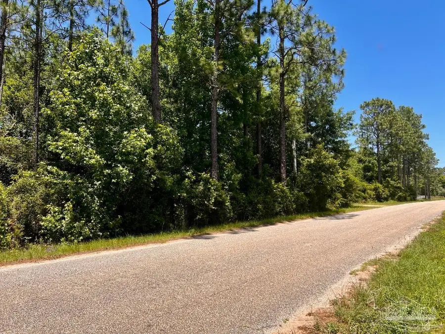 Lot 51 Mineral Springs Rd, Jay, FL 32565 - #3