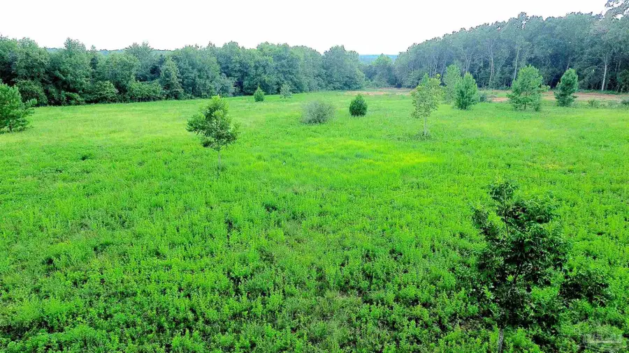 Lot 2 Mineral Springs Rd, Jay, FL 32565 - #3