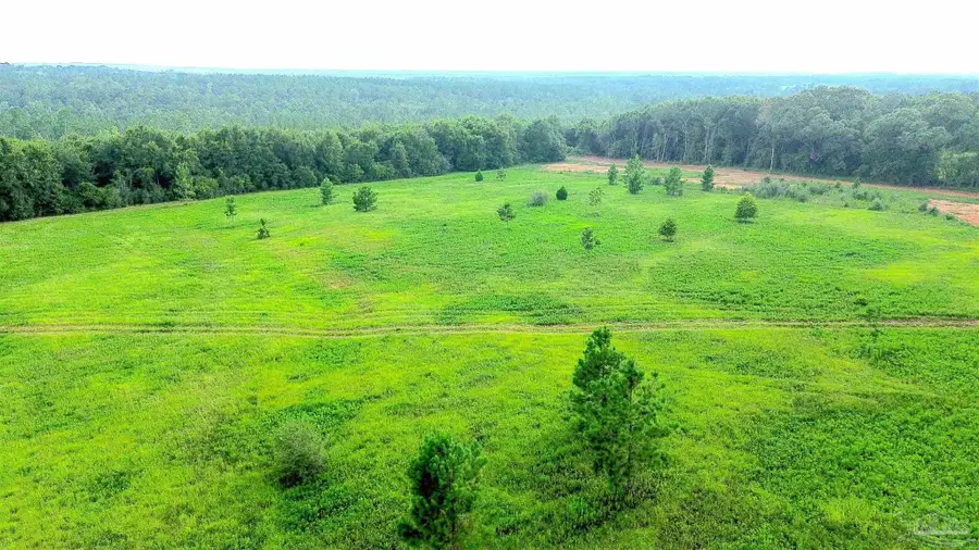 Lot 3 Mineral Springs Rd, Jay, FL 32565 - #2