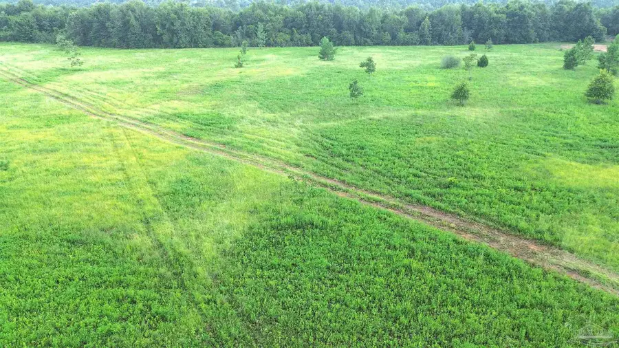 Lot 3 Mineral Springs Rd, Jay, FL 32565 - #3