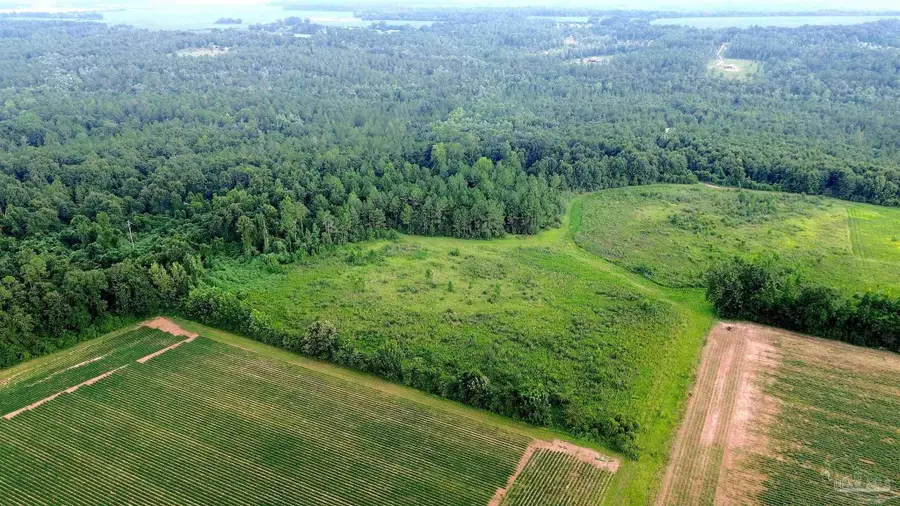 Lot 4 Mineral Springs Rd, Jay, FL 32565 - #3