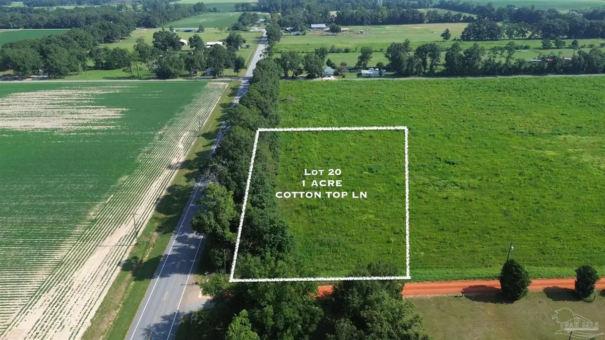 Lot 20 Cotton Top Ln, Milton, FL 32570 - #1