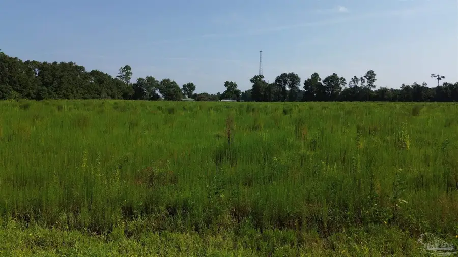 Lot 21 Cotton Top Ln, Milton, FL 32570 - #3