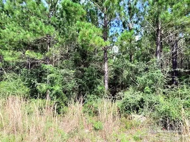 Lot 35 Teton Crest Dr, Pace, FL 32571 - #3
