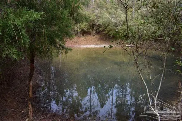 0001 Pat Brown Rd, Milton, FL 32570