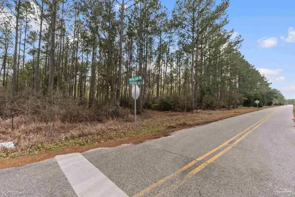 Lot #8 Bermuda Ln, Seminole, AL 36574