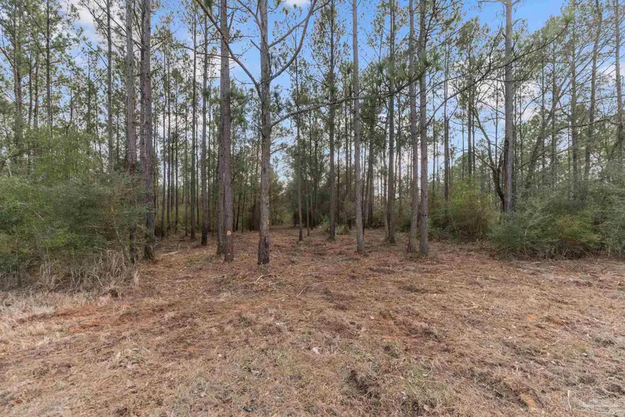 Lot #8 Bermuda Ln, Seminole, AL 36574 - #2