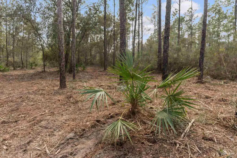 Lot #8 Bermuda Ln, Seminole, AL 36574 - #3