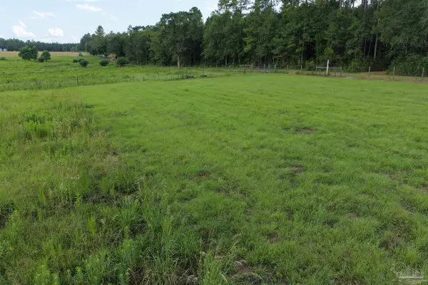 8221 Jakes Rd, Mcdavid, FL 32568