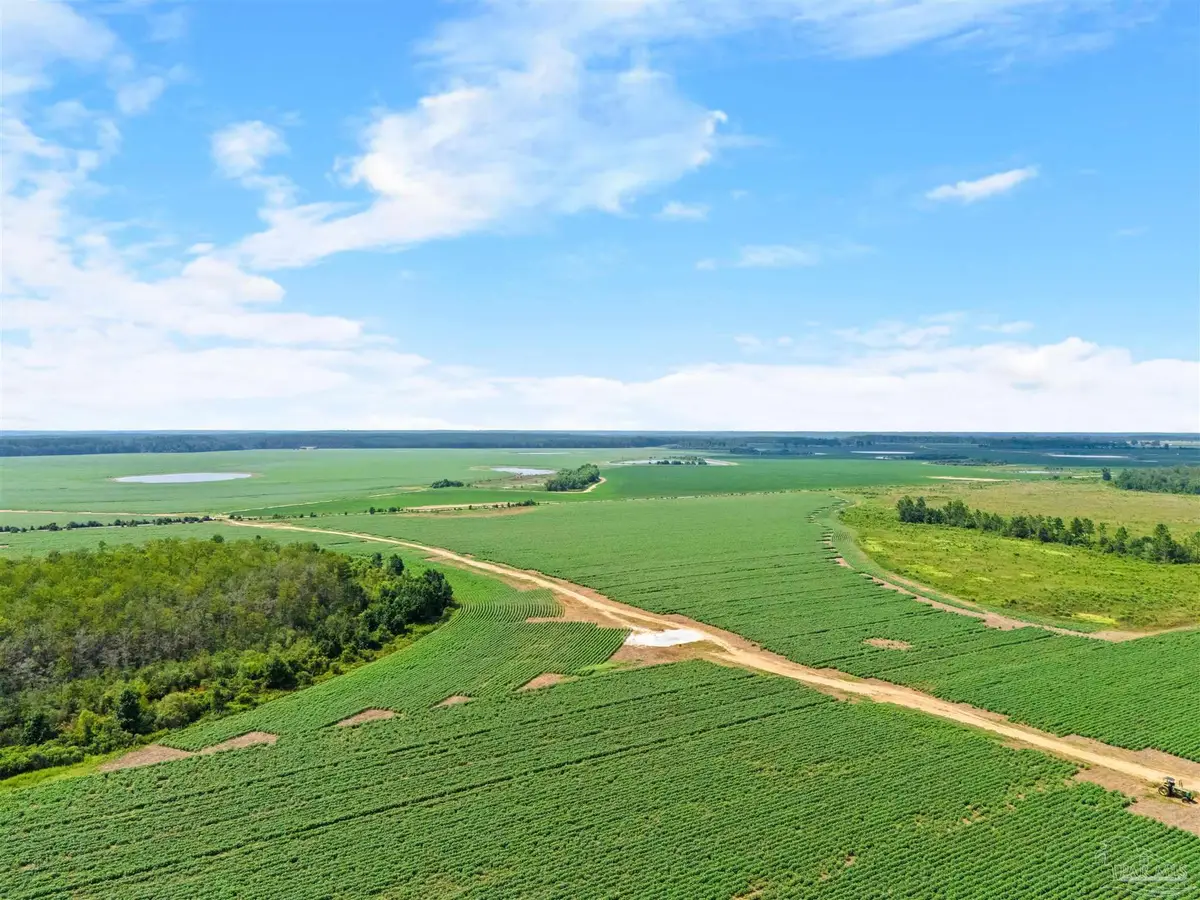 0 Manning Rd, Atmore, AL 36502 - #1