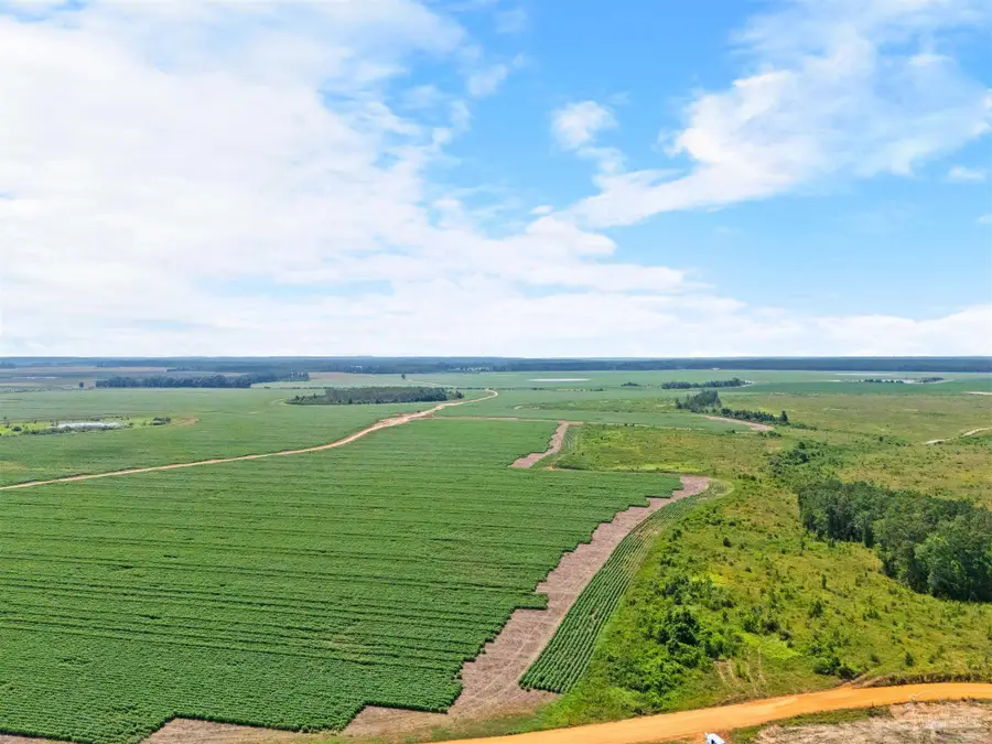 0 Manning Rd, Atmore, AL 36502 - #2