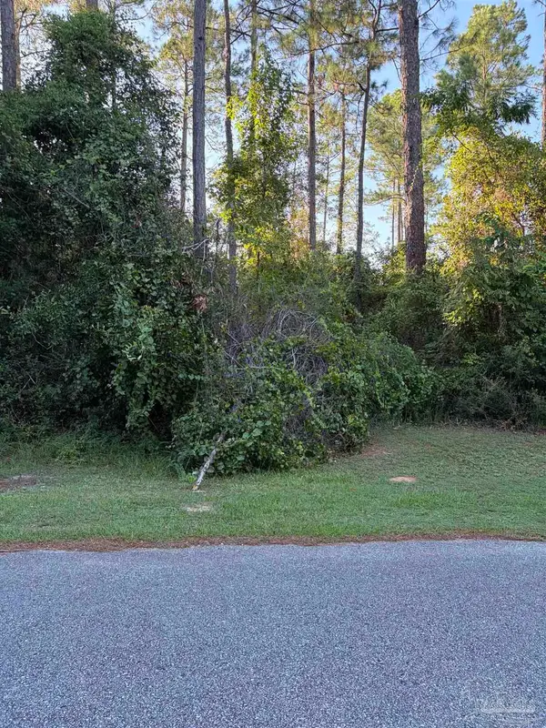 311 Deerfoot Ln, Cantonment, FL 32533