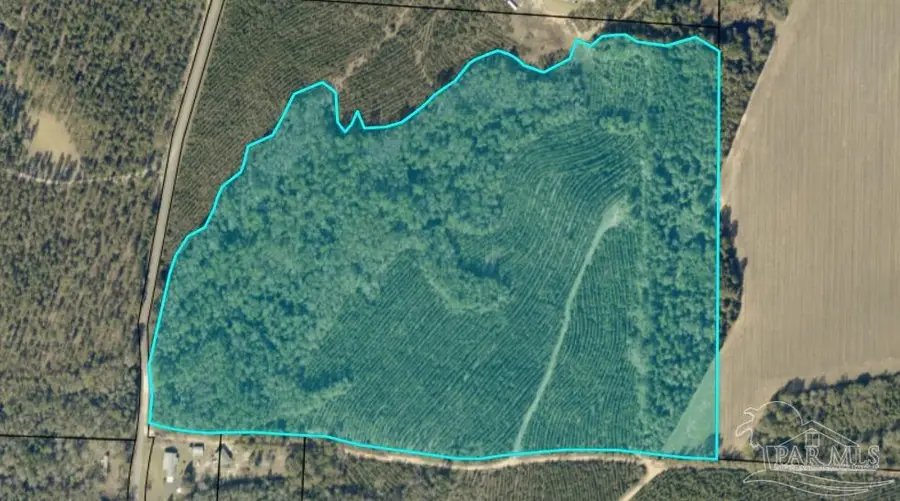 000 Watson Rd, Chumuckla, FL 32571 - #2