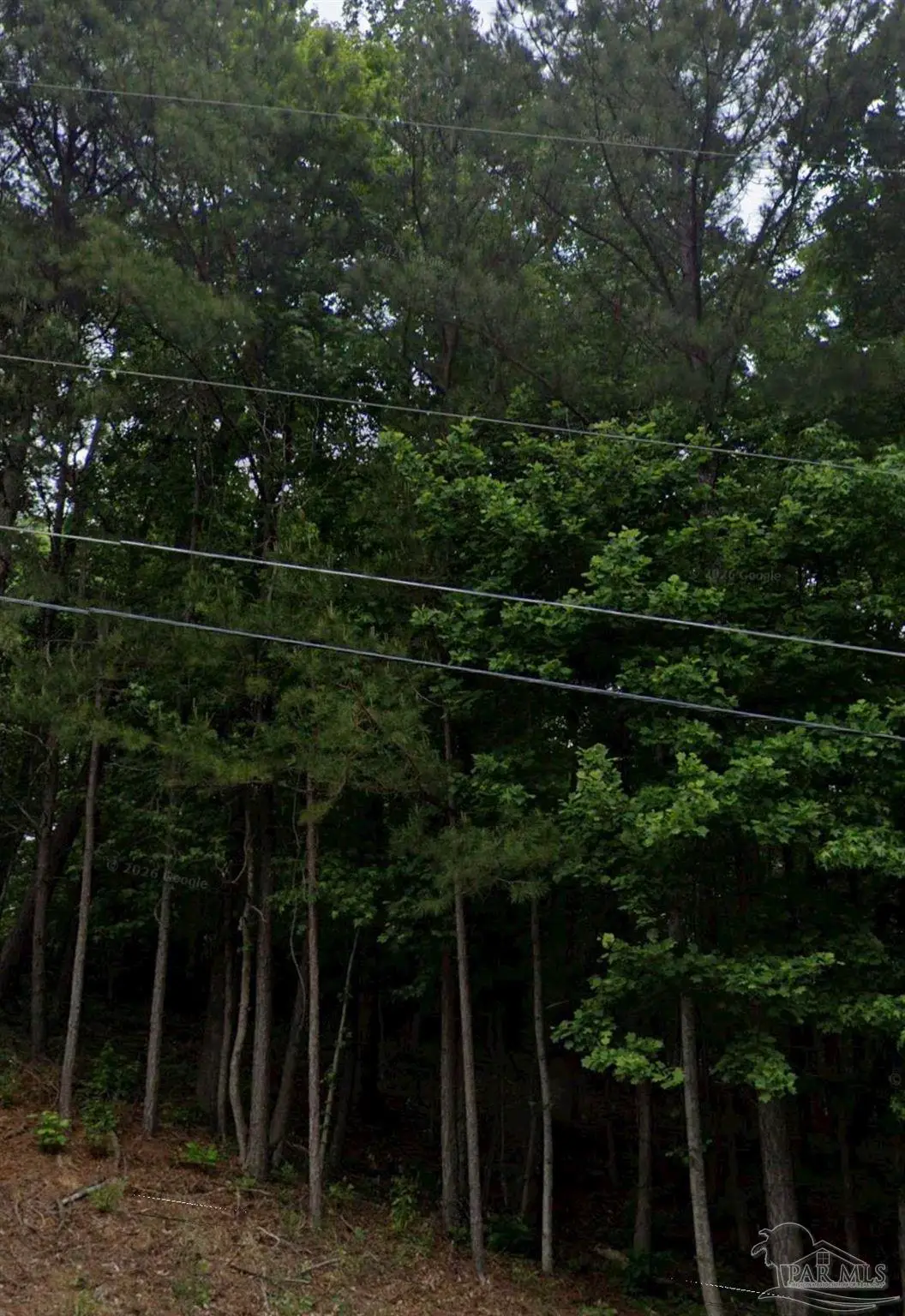 142 Water Oak St, Trussville, AL 35173 - #1