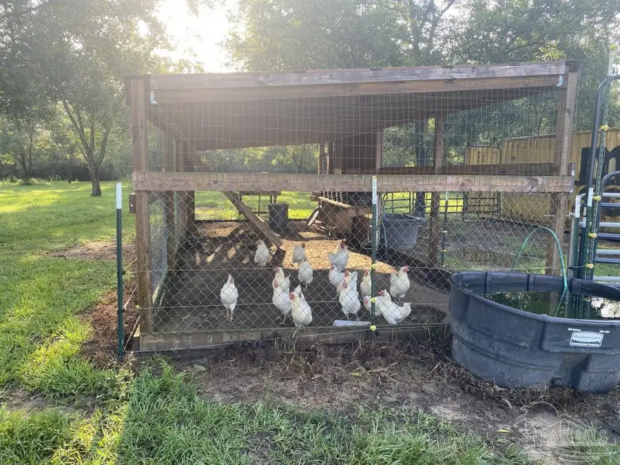 6810 Sunshine Hill Rd, Molino, FL 32577 - #3