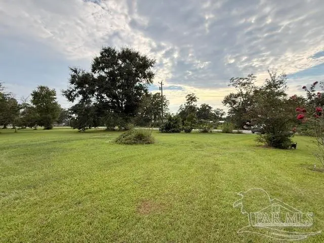 6018 Hwy 99, Molino, FL 32577 - #3