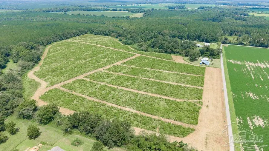 Lot 7 Whistler Ln, Jay, FL 32565 - #3
