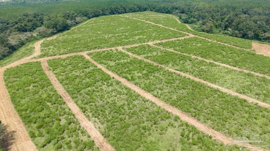 Lot 6 Whistler Ln, Jay, FL 32565 - #2