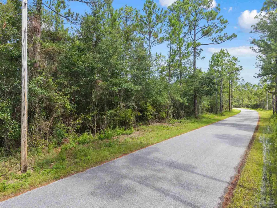Parcel 3 Pearson Rd, Milton, FL 32583 - #3