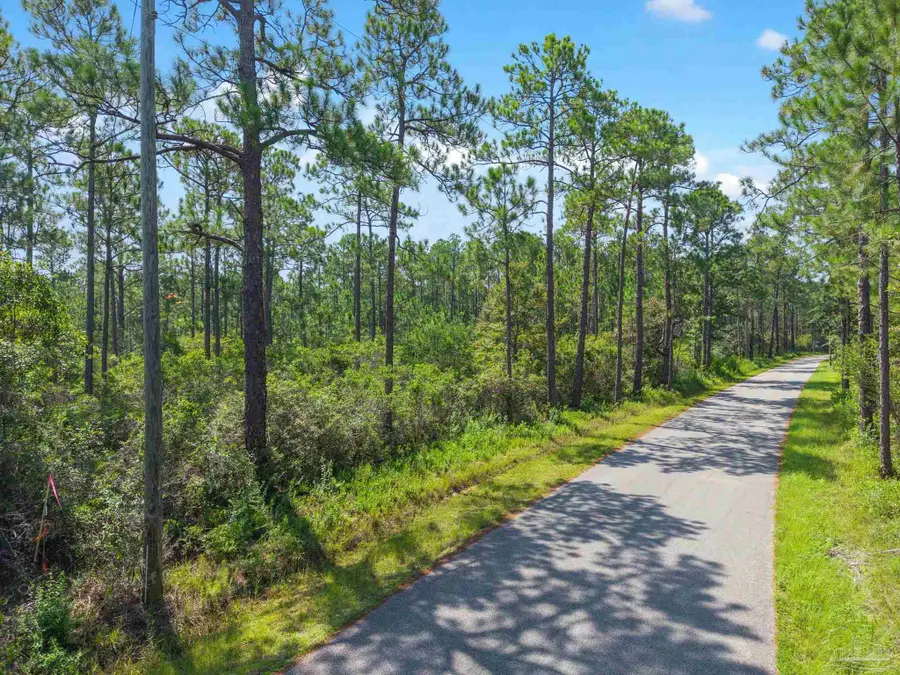 Parcel 4 Pearson Rd, Milton, FL 32583 - #3