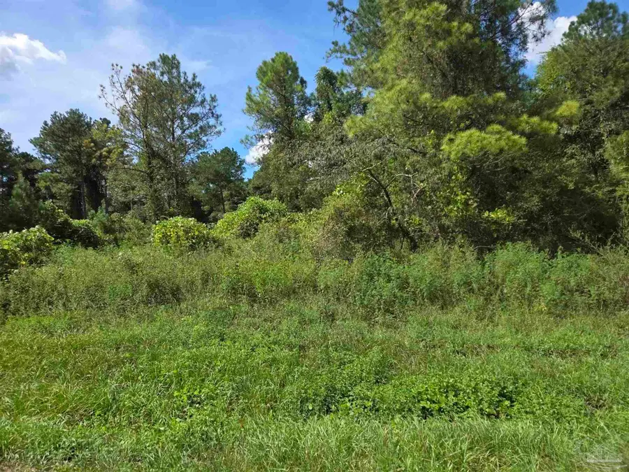 7470 Bratt Rd, Century, FL 32535 - #2