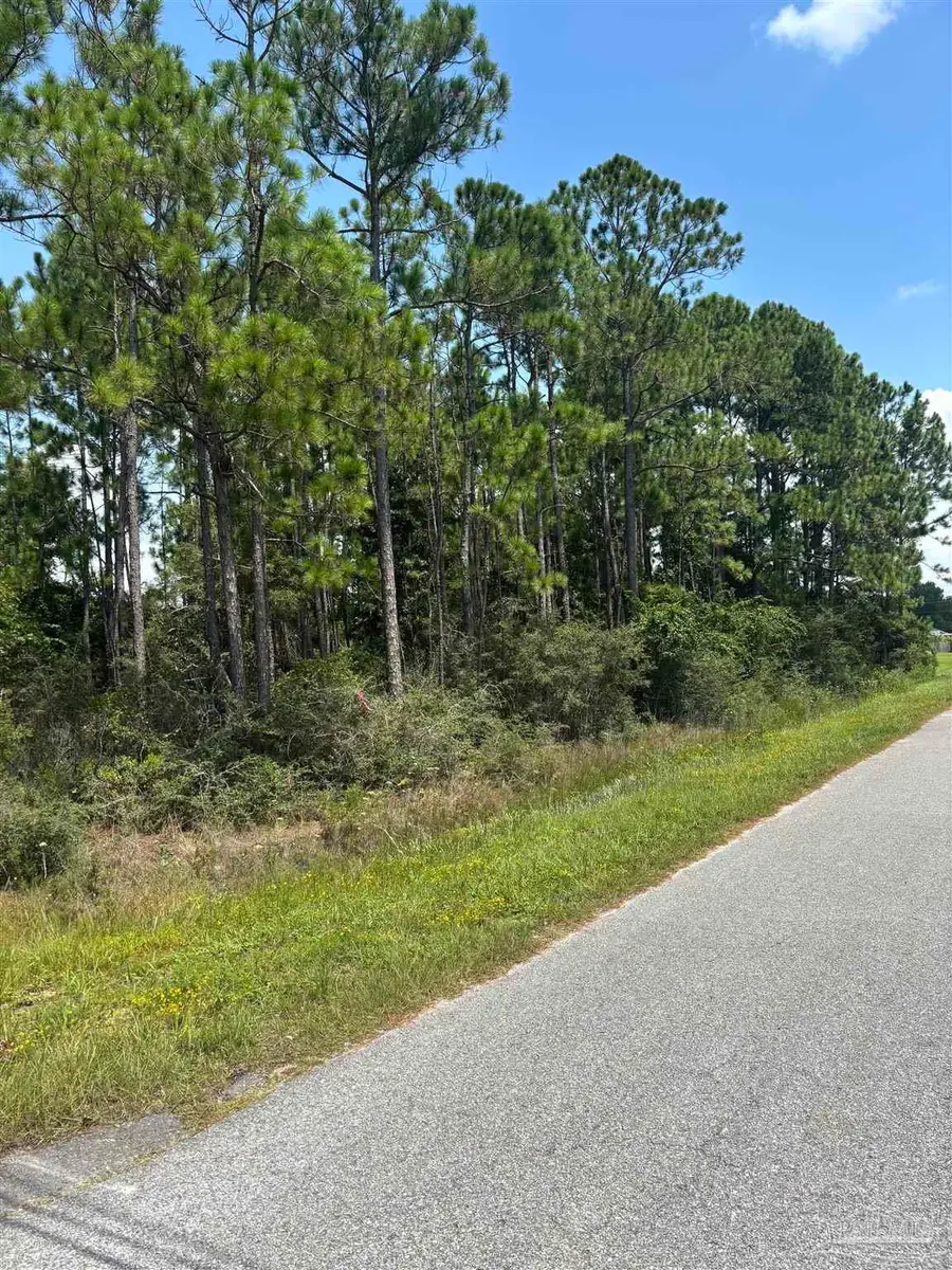 TBD Flamingo Ln, Navarre, FL 32566 - #2